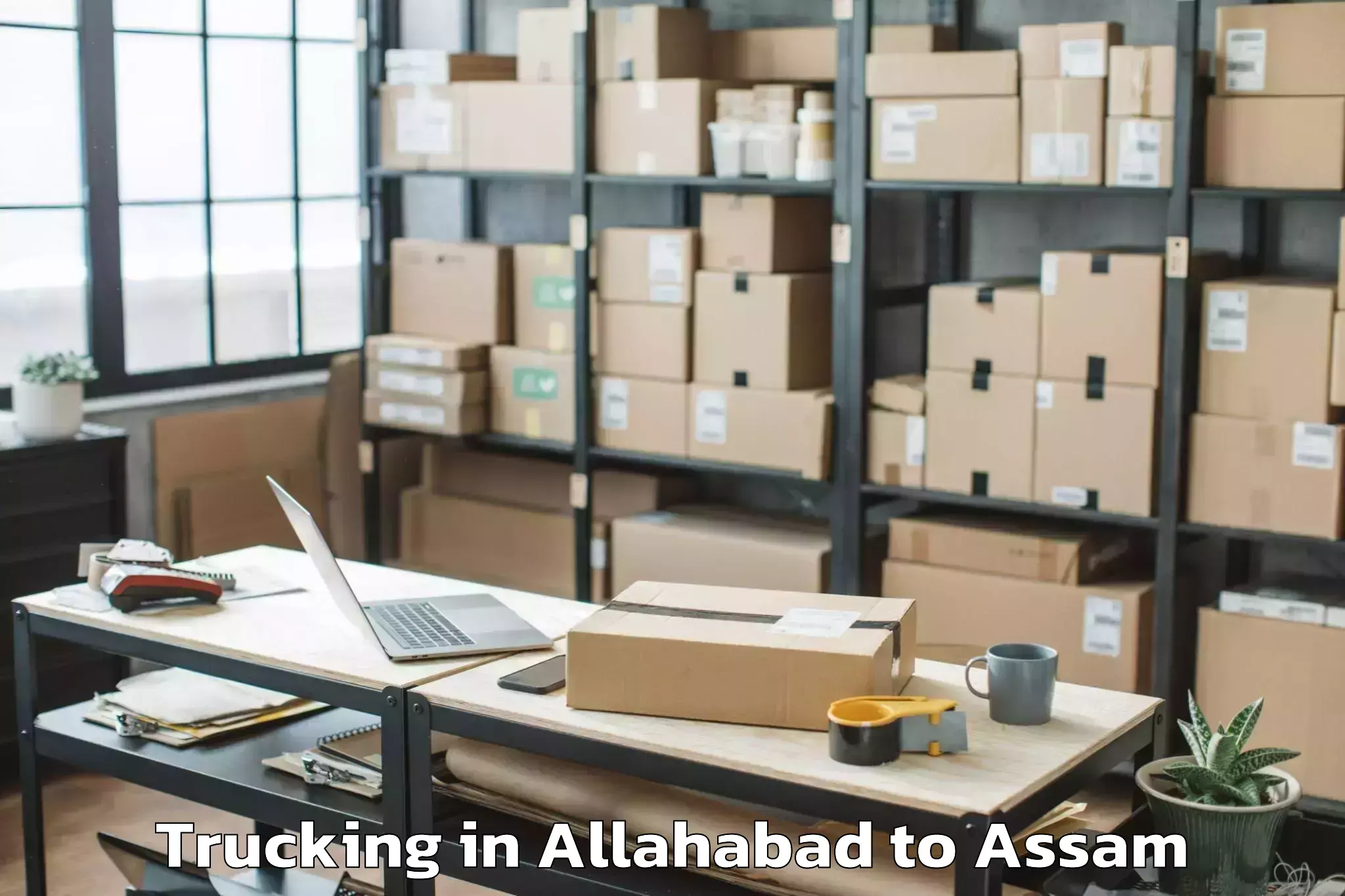 Affordable Allahabad to Barpathar Trucking